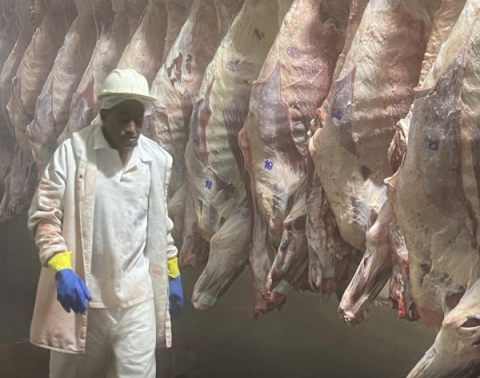 Arroba do boi chega a R$350 e já tem comprador buscando carne fora do estado